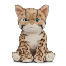 Bengal Plush Kitten